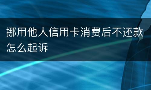 挪用他人信用卡消费后不还款怎么起诉