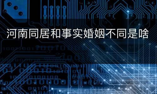 河南同居和事实婚姻不同是啥