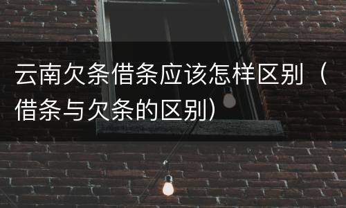 云南欠条借条应该怎样区别（借条与欠条的区别）