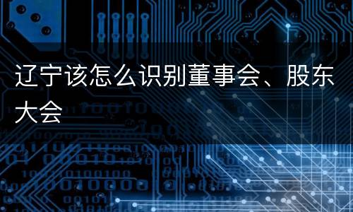 辽宁该怎么识别董事会、股东大会