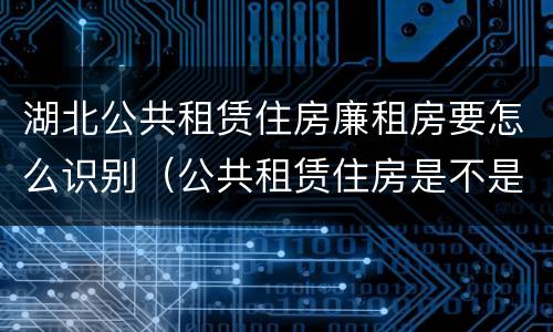 湖北公共租赁住房廉租房要怎么识别（公共租赁住房是不是廉租房）