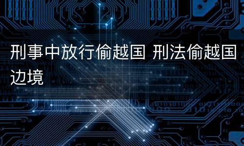 刑事中放行偷越国 刑法偷越国边境