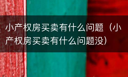 小产权房买卖有什么问题（小产权房买卖有什么问题没）