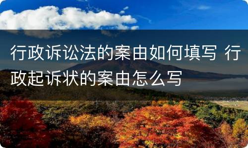 行政诉讼法的案由如何填写 行政起诉状的案由怎么写