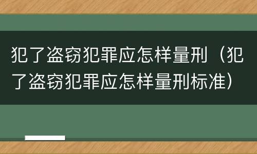 犯了盗窃犯罪应怎样量刑（犯了盗窃犯罪应怎样量刑标准）