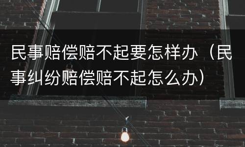 民事赔偿赔不起要怎样办（民事纠纷赔偿赔不起怎么办）