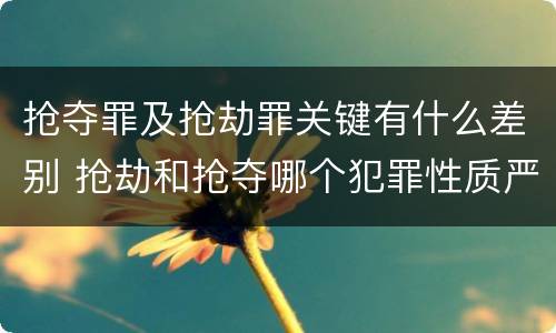 抢夺罪及抢劫罪关键有什么差别 抢劫和抢夺哪个犯罪性质严重