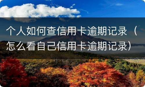 个人如何查信用卡逾期记录（怎么看自己信用卡逾期记录）