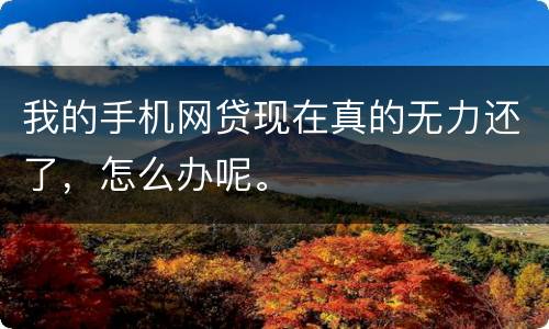 我的手机网贷现在真的无力还了，怎么办呢。