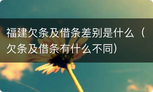 福建欠条及借条差别是什么（欠条及借条有什么不同）