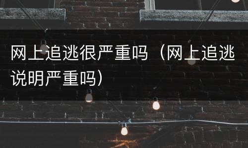 网上追逃很严重吗（网上追逃说明严重吗）