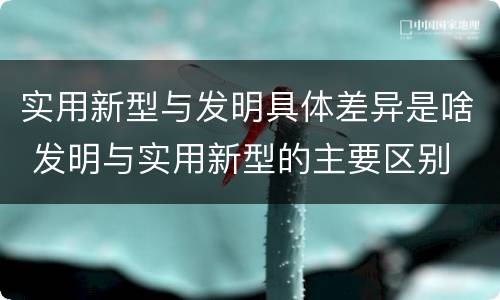 实用新型与发明具体差异是啥 发明与实用新型的主要区别