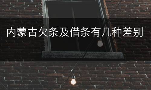 内蒙古欠条及借条有几种差别