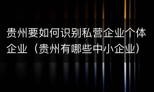 贵州要如何识别私营企业个体企业（贵州有哪些中小企业）