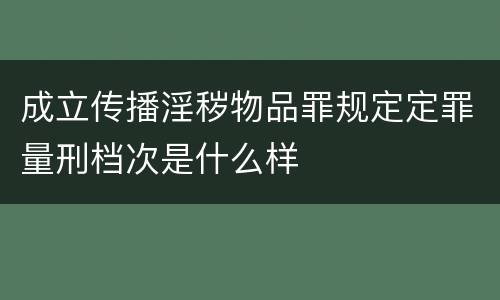 成立传播淫秽物品罪规定定罪量刑档次是什么样