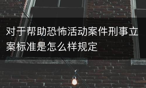 对于帮助恐怖活动案件刑事立案标准是怎么样规定