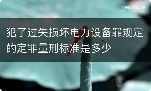 犯了过失损坏电力设备罪规定的定罪量刑标准是多少