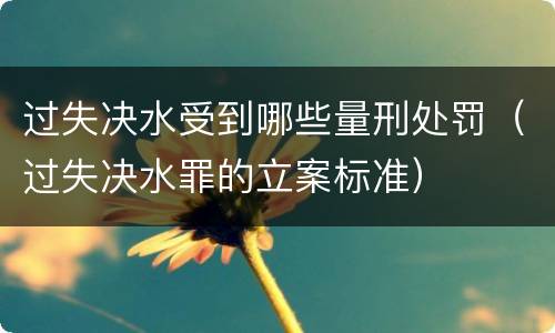 过失决水受到哪些量刑处罚（过失决水罪的立案标准）