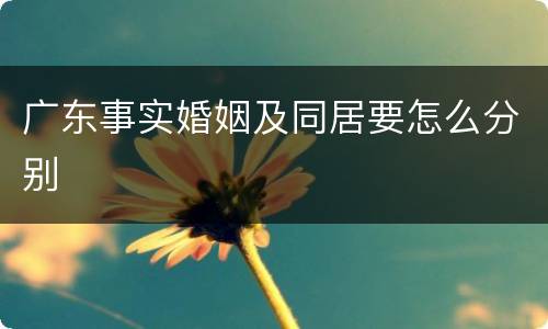 广东事实婚姻及同居要怎么分别