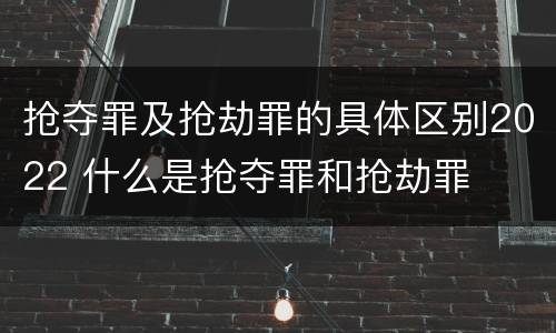 抢夺罪及抢劫罪的具体区别2022 什么是抢夺罪和抢劫罪