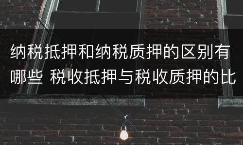 纳税抵押和纳税质押的区别有哪些 税收抵押与税收质押的比较