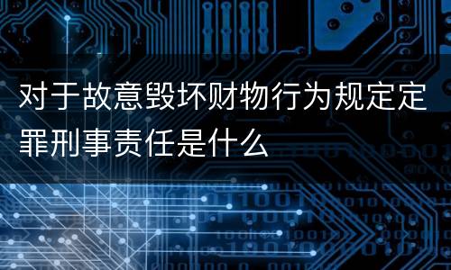 对于故意毁坏财物行为规定定罪刑事责任是什么