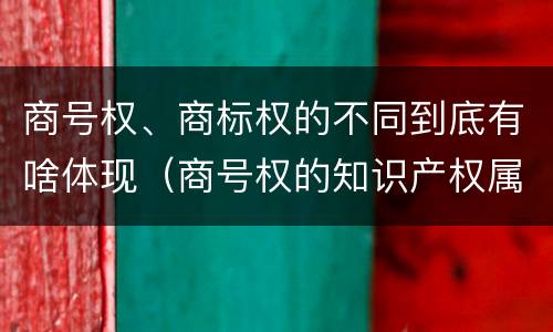 商号权、商标权的不同到底有啥体现（商号权的知识产权属性）