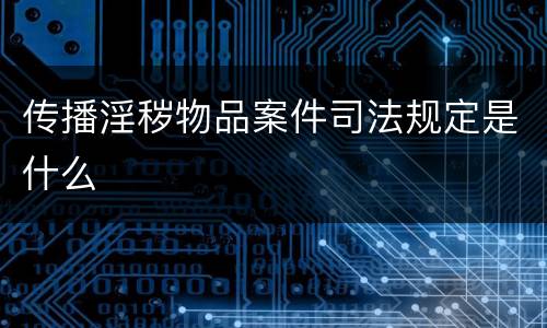 传播淫秽物品案件司法规定是什么