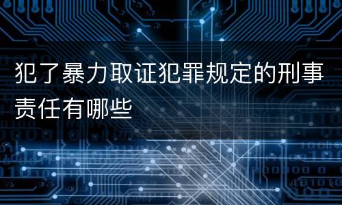 犯了暴力取证犯罪规定的刑事责任有哪些
