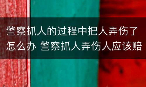 警察抓人的过程中把人弄伤了怎么办 警察抓人弄伤人应该赔么