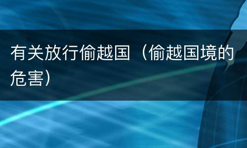 有关放行偷越国（偷越国境的危害）