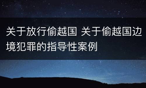 关于放行偷越国 关于偷越国边境犯罪的指导性案例