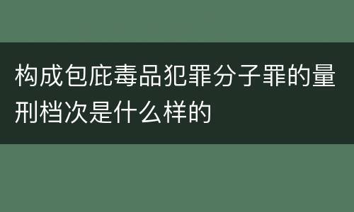构成包庇毒品犯罪分子罪的量刑档次是什么样的