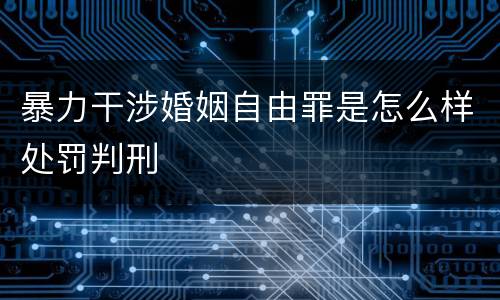 暴力干涉婚姻自由罪是怎么样处罚判刑