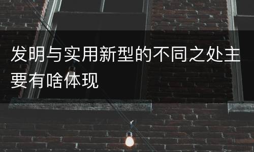 发明与实用新型的不同之处主要有啥体现