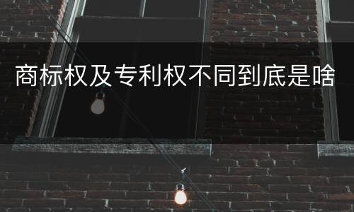 商标权及专利权不同到底是啥