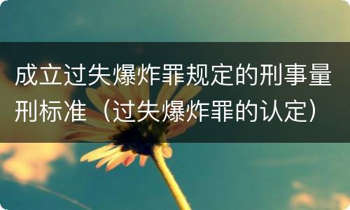 成立过失爆炸罪规定的刑事量刑标准（过失爆炸罪的认定）