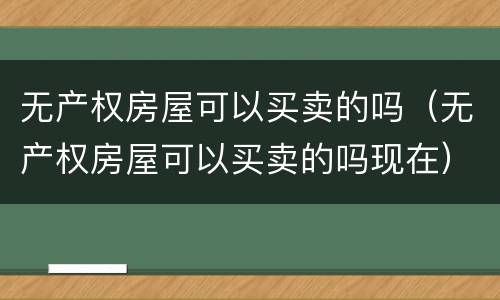 无产权房屋可以买卖的吗（无产权房屋可以买卖的吗现在）