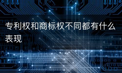 专利权和商标权不同都有什么表现