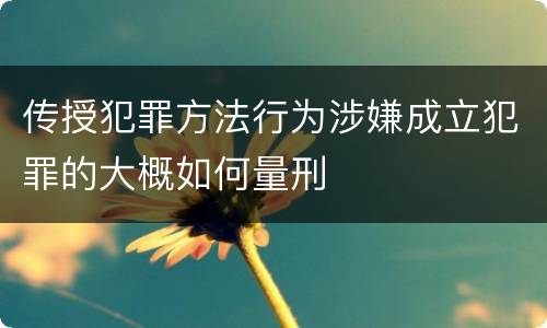 传授犯罪方法行为涉嫌成立犯罪的大概如何量刑