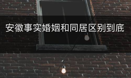 安徽事实婚姻和同居区别到底