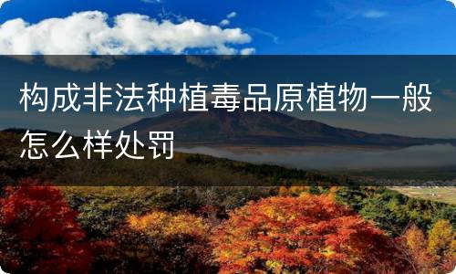 构成非法种植毒品原植物一般怎么样处罚