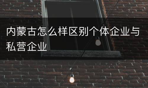内蒙古怎么样区别个体企业与私营企业