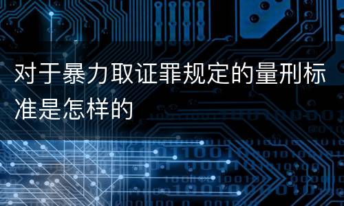 对于暴力取证罪规定的量刑标准是怎样的