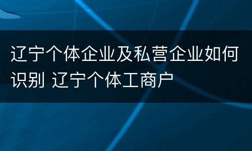 辽宁个体企业及私营企业如何识别 辽宁个体工商户