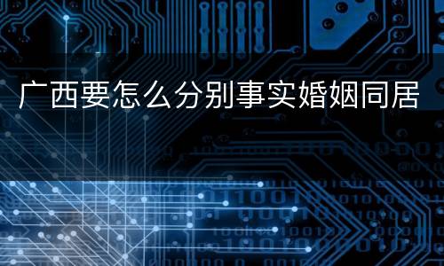 广西要怎么分别事实婚姻同居