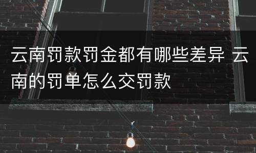 云南罚款罚金都有哪些差异 云南的罚单怎么交罚款