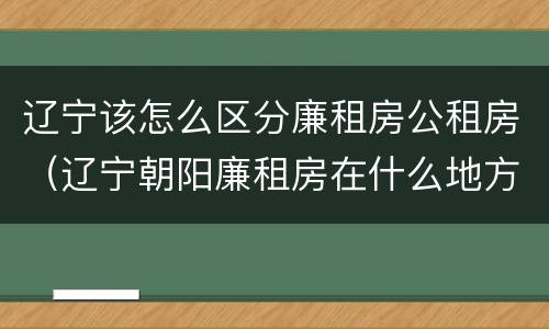 辽宁该怎么区分廉租房公租房（辽宁朝阳廉租房在什么地方）