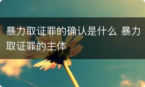 暴力取证罪的确认是什么 暴力取证罪的主体
