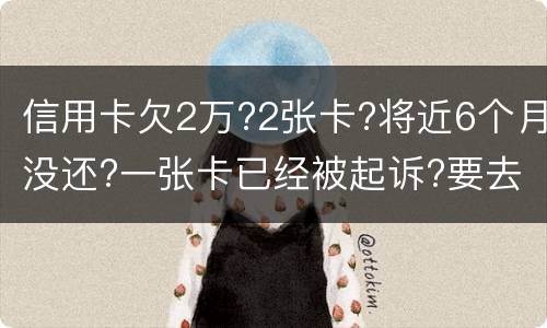 信用卡欠2万?2张卡?将近6个月没还?一张卡已经被起诉?要去公安局现在怎么办